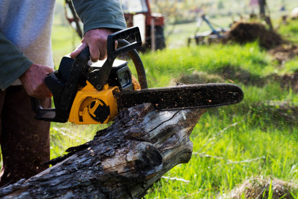 Best Lawn Dethatching  in Berlin, NH